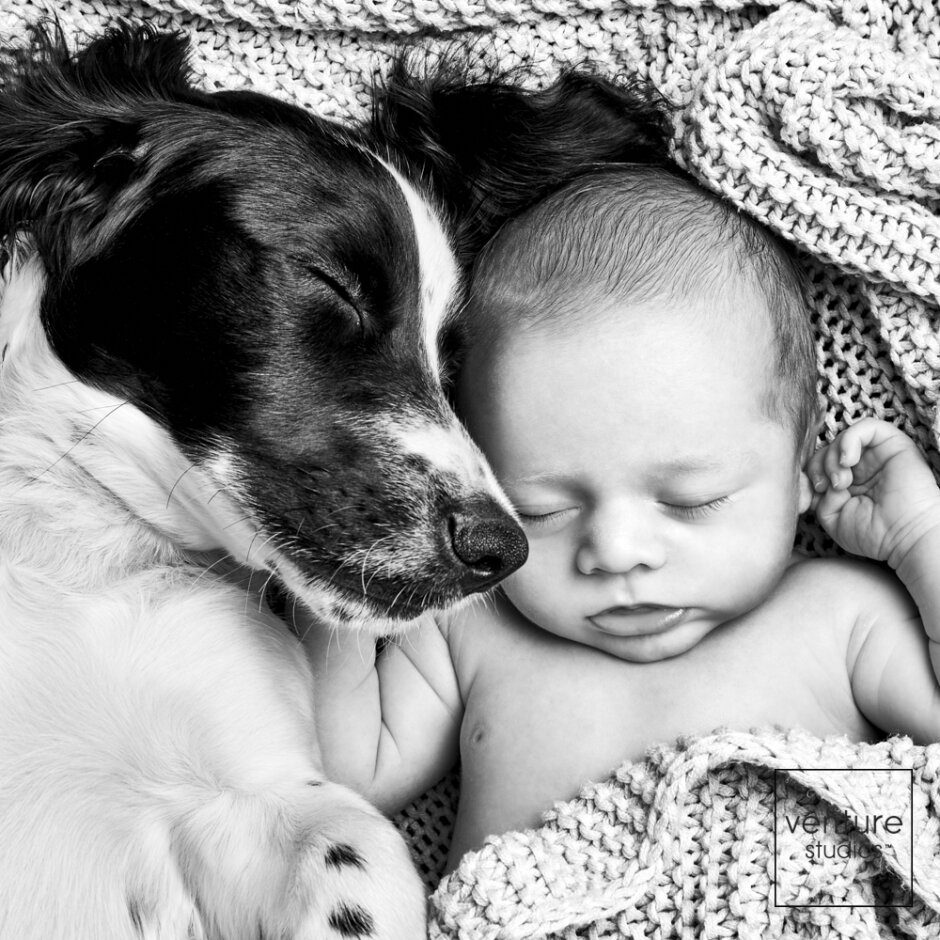 Platinum Newborn Photoshoot